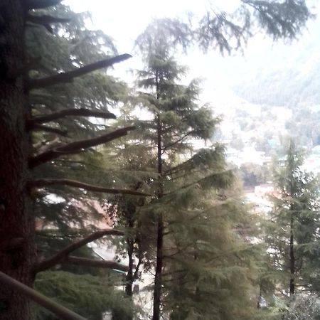 Himalayan Triund Trekking And Mountain View Dharamshala Exteriör bild